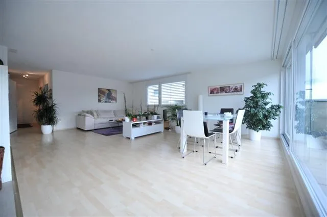 Helle 2.5-Zimmer-Wohnung mit Terrasse in Winterthur