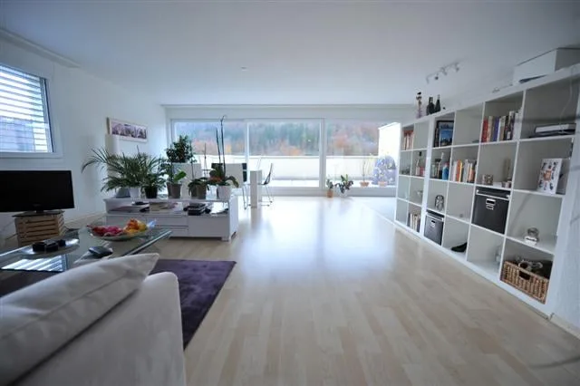 Helle 2.5-Zimmer-Wohnung mit Terrasse in Winterthur