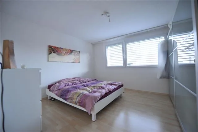 Helle 2.5-Zimmer-Wohnung mit Terrasse in Winterthur
