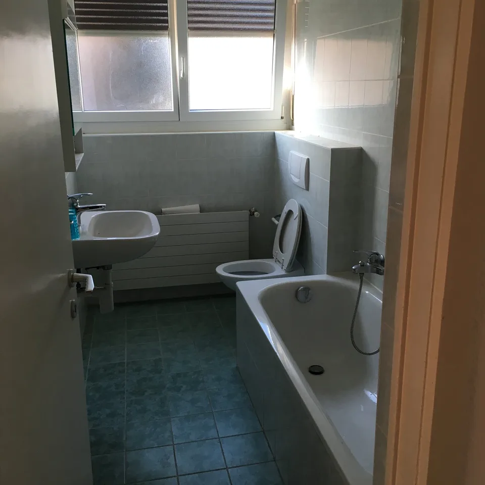 2.5-room apartment with balcony in Lugano