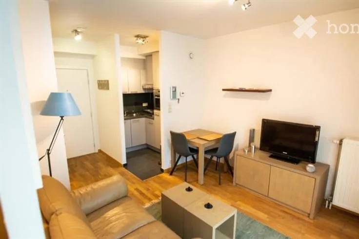Appartement 2 pièces lumineux à louer – Avenue de Champel, Genève