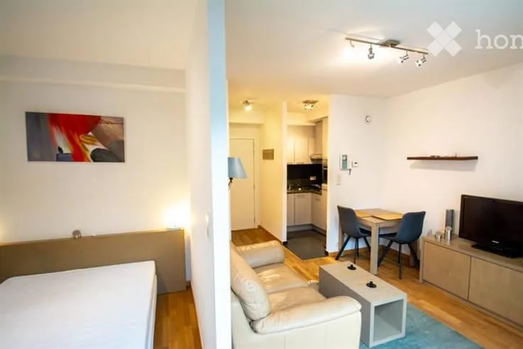 Two-room bright apartment for rent – Avenue de Champel, Geneva