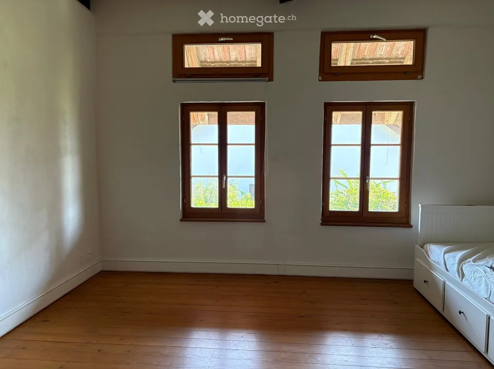 Charming 6.5 room house in Mettmenstetten