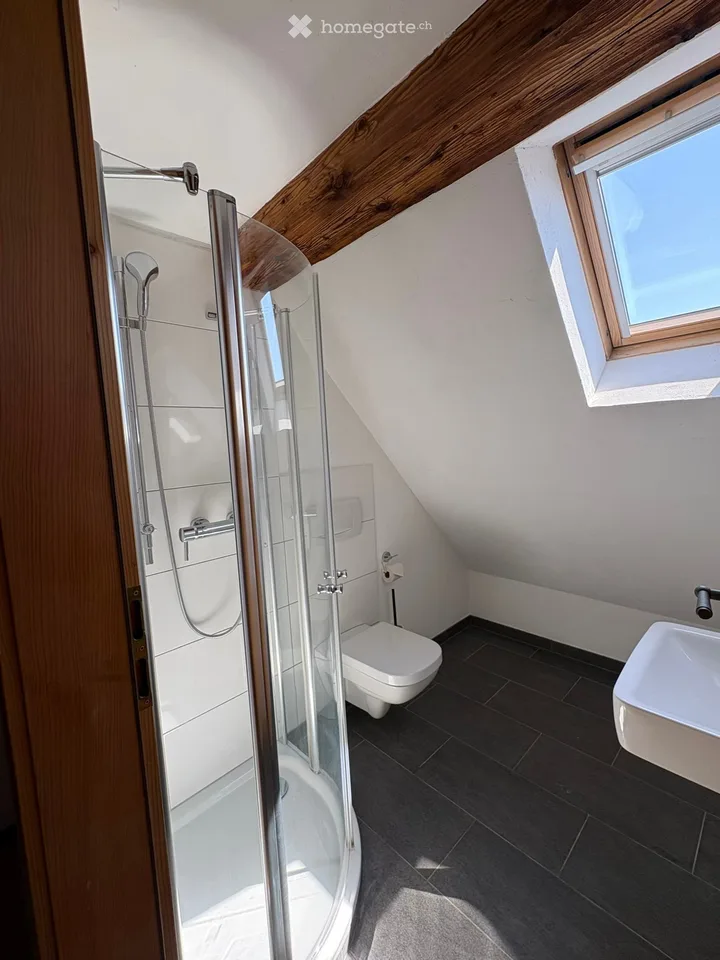 Charming 6.5 room house in Mettmenstetten