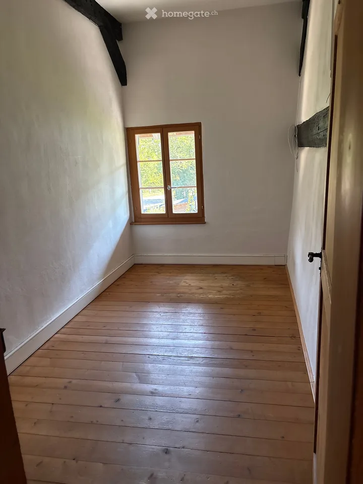 Charming 6.5 room house in Mettmenstetten