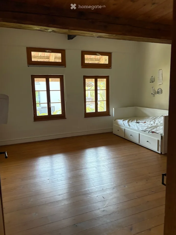 Charming 6.5 room house in Mettmenstetten