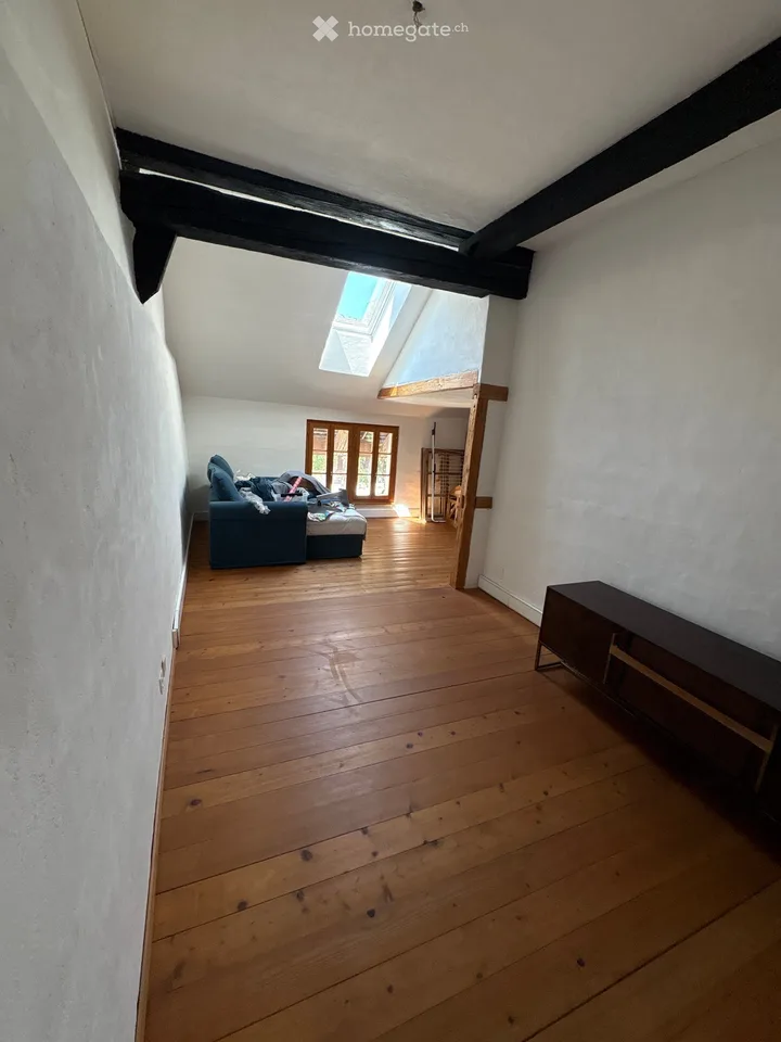 Charming 6.5 room house in Mettmenstetten