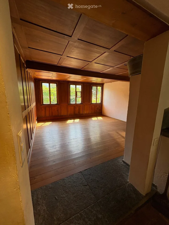 Charming 6.5 room house in Mettmenstetten