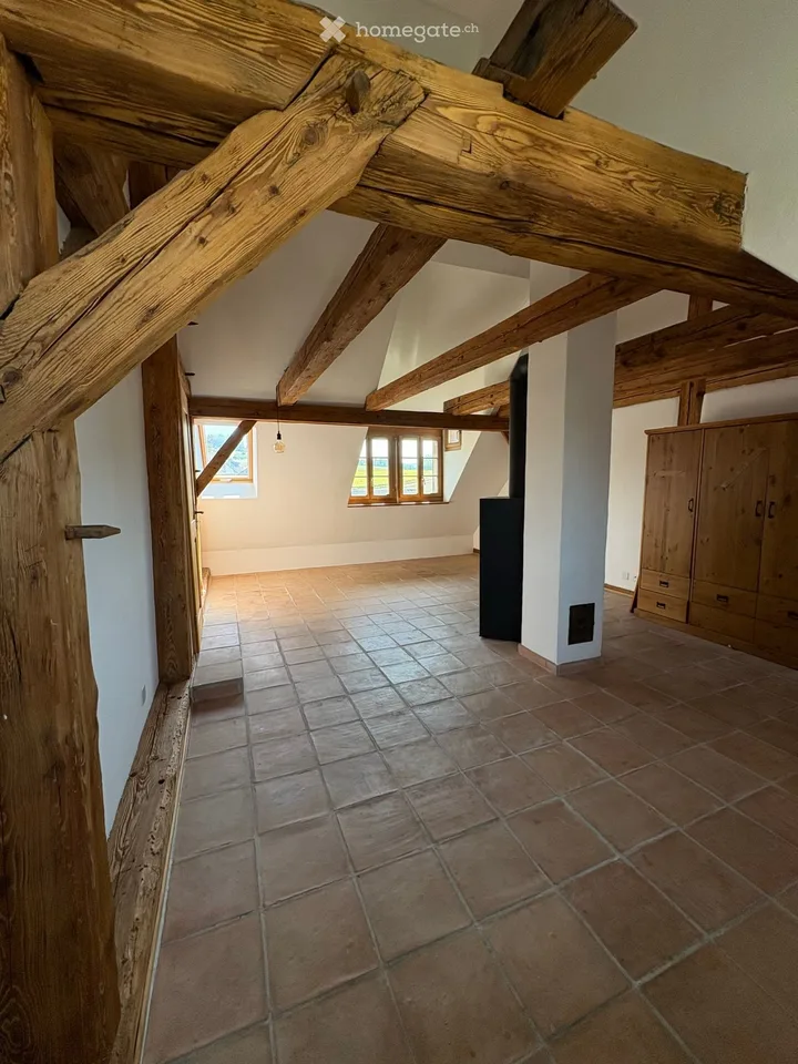 Charming 6.5 room house in Mettmenstetten