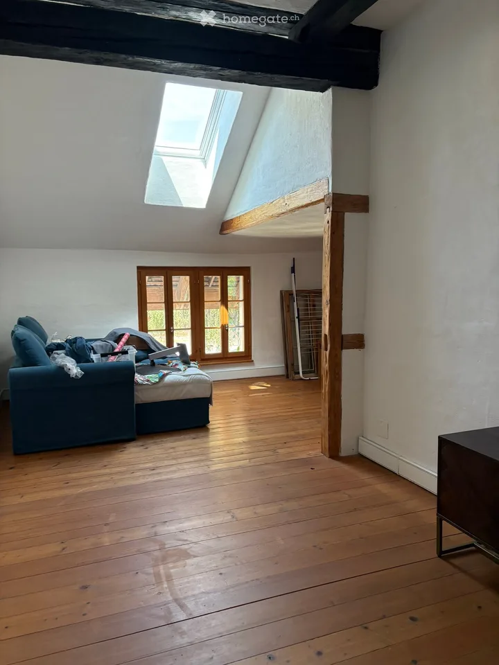 Charming 6.5 room house in Mettmenstetten