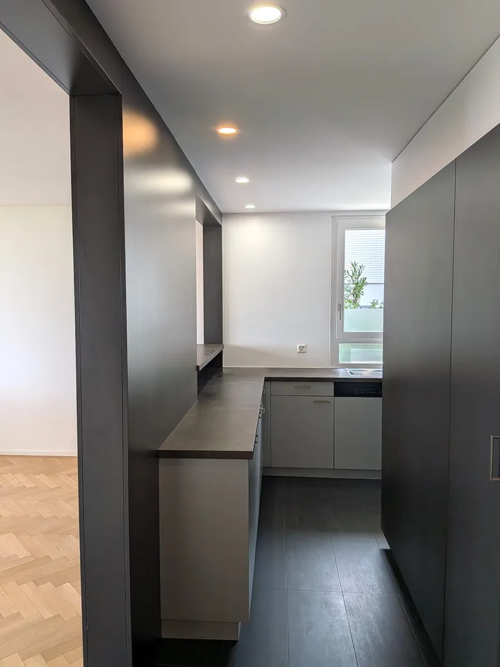 Grande duplex di 6.5 locali con vista panoramica sul lago e le Alpi, giardino privato