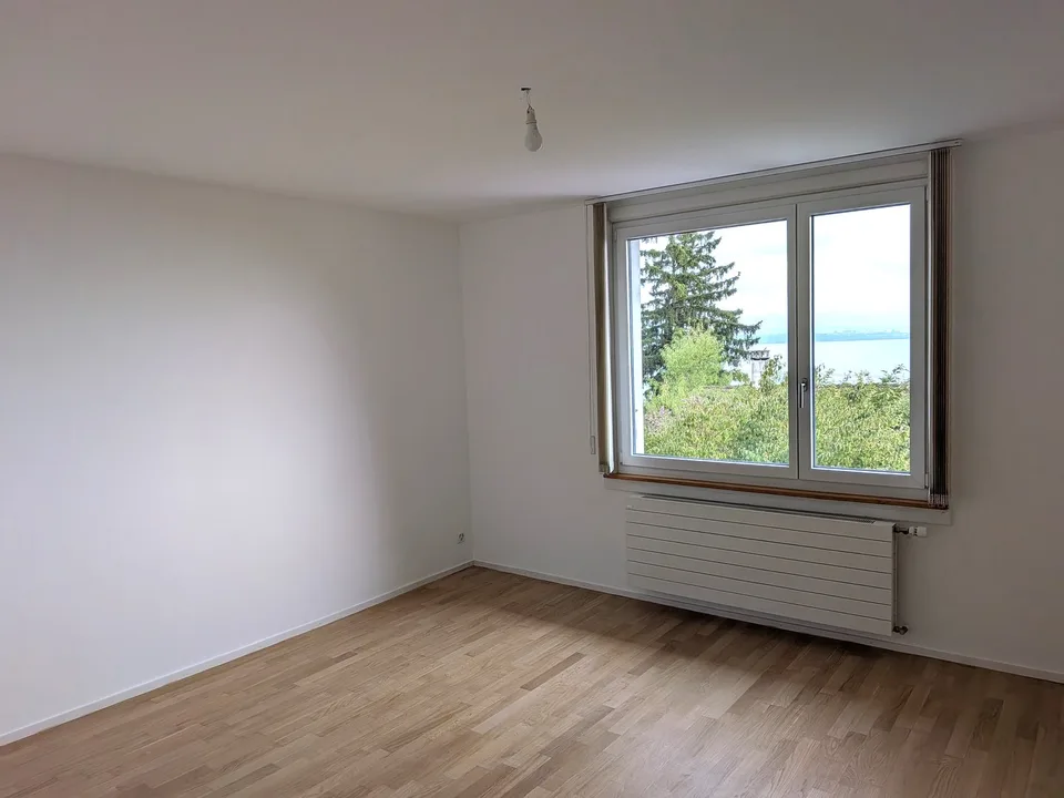 Grande duplex di 6.5 locali con vista panoramica sul lago e le Alpi, giardino privato