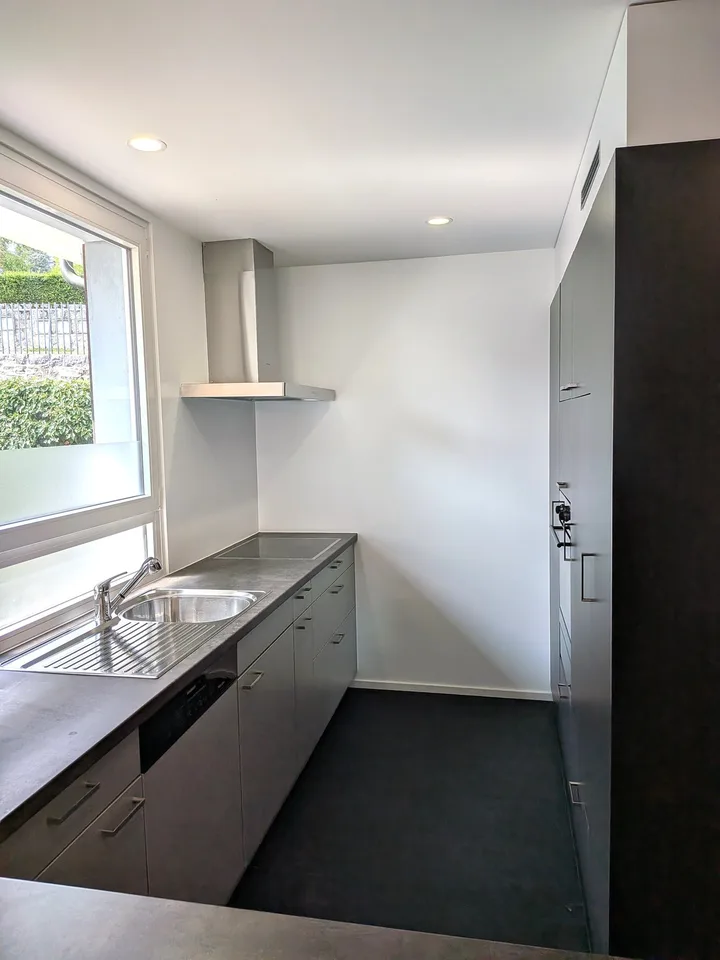 Grande duplex di 6.5 locali con vista panoramica sul lago e le Alpi, giardino privato