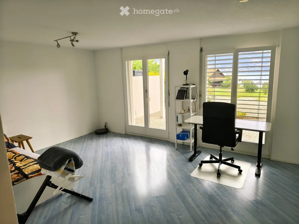 Charmant studio d'affaires 1 pièce avec une vue lac magnifique à Immensee