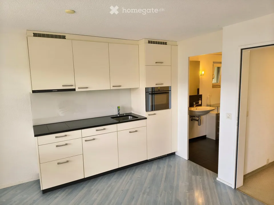 Charmantes 1-Zimmer Business Studio mit herrlicher Seesicht in Immensee