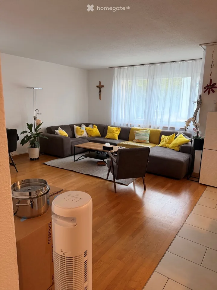 Grosszügige, helle Wohnung in Dietikon