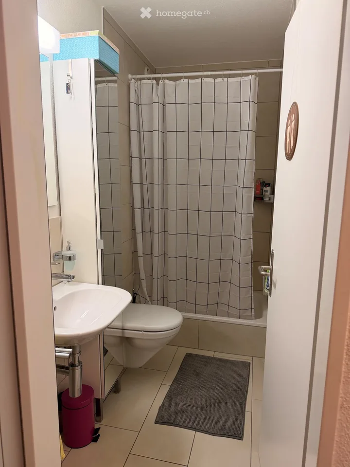 Grosszügige, helle Wohnung in Dietikon