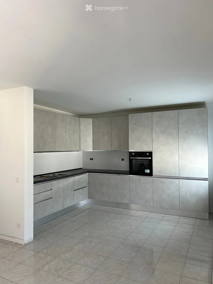 4.5 locali completamente ristrutturato