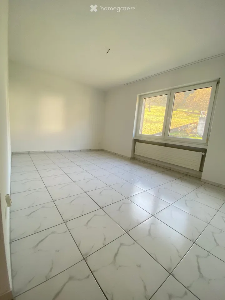 Appartement de 4,5 pièces lumineux avec belle vue dans un quartier calme