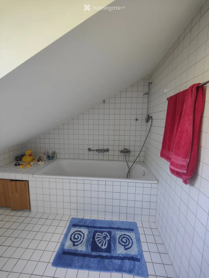 Helle 2.5-Zimmer-Dachwohnung in Kloten