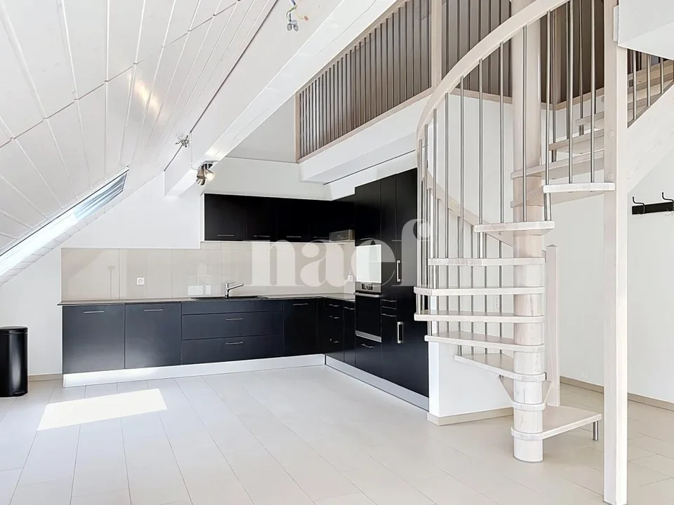 Beautiful duplex apartment