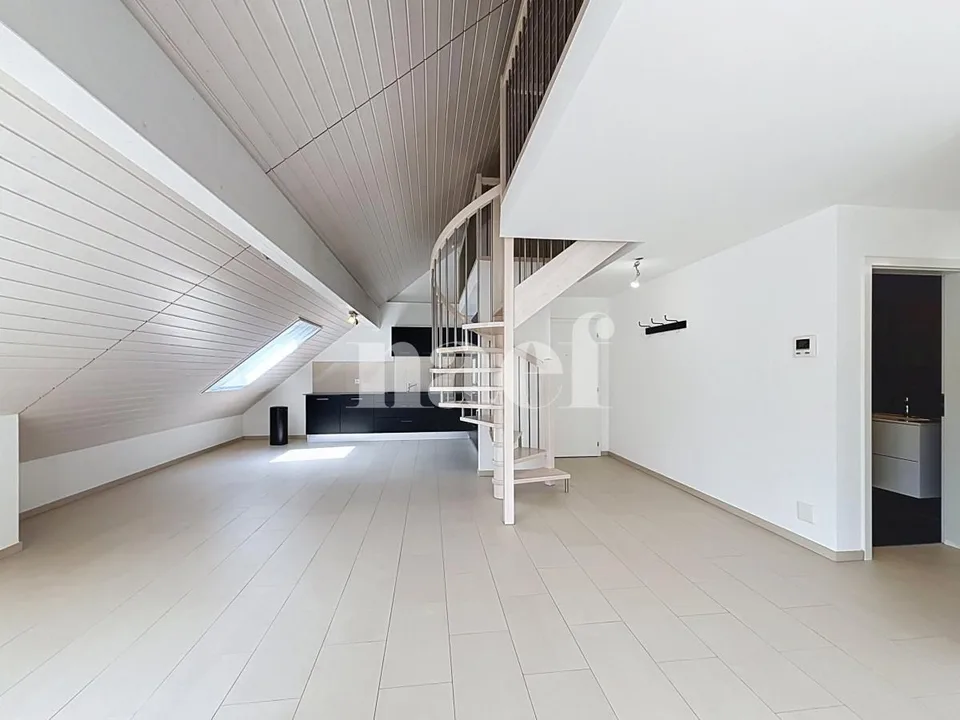 Beautiful duplex apartment
