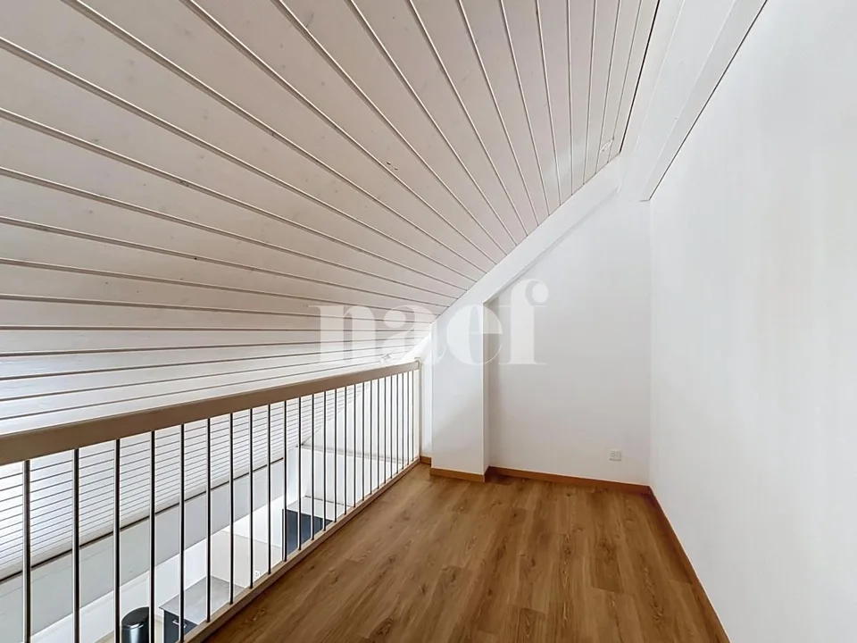 Beautiful duplex apartment