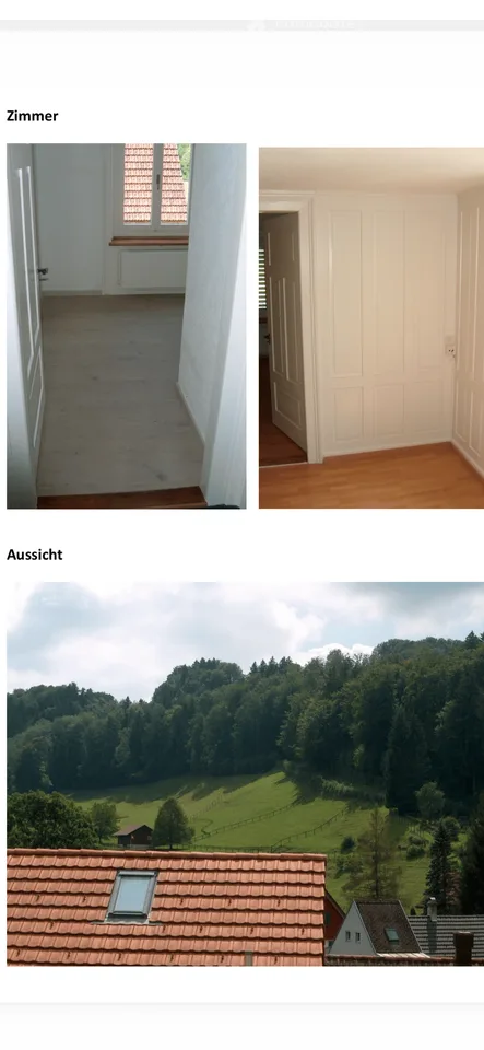 Helle 4-Zimmer-Dachwohnung mit traumhafter Aussicht – in Wald ZH