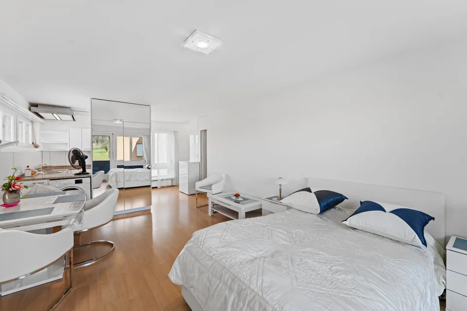 Furnished 1.5-room apartment with balcony in Dällikon Zürich