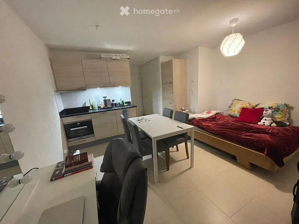 Studio lumineux avec terrasse et parking - disponible immédiatement