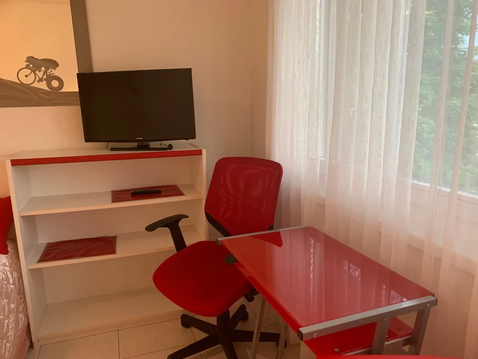 2.5-Room Apartment - Furnished - with Balcony in Buchs Zürich