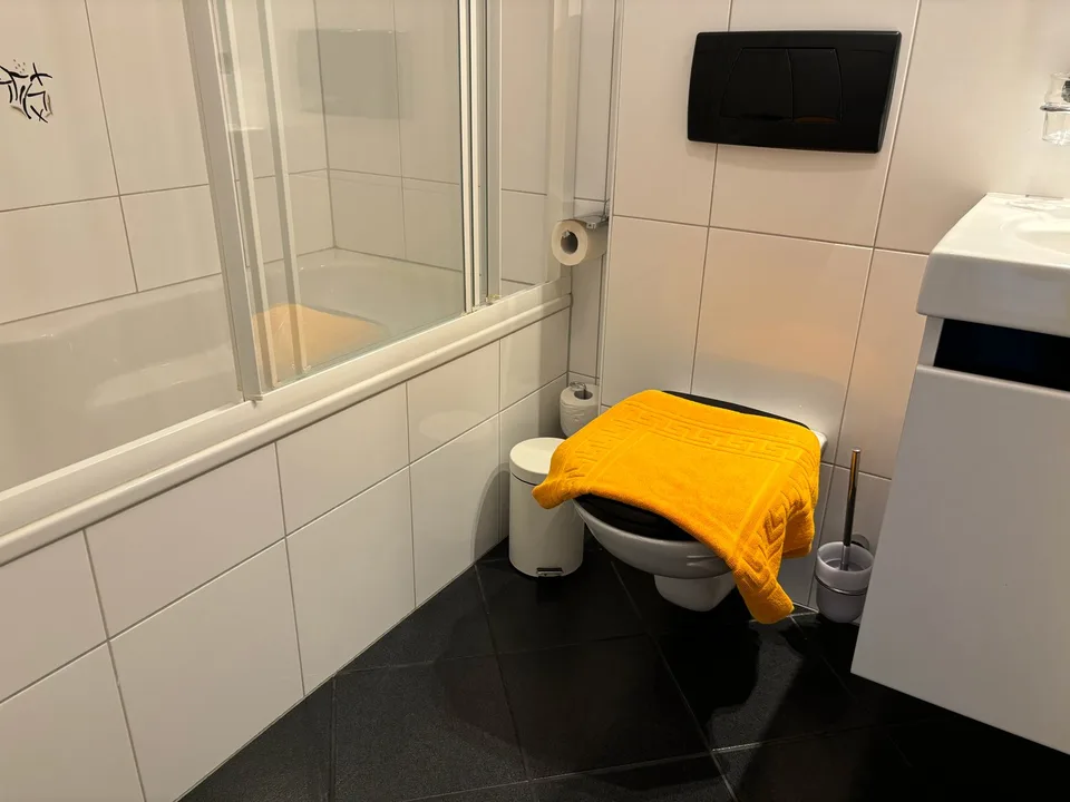 2.5-Room Apartment - Furnished - with Balcony in Buchs Zürich