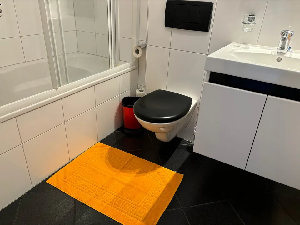2.5-Room Apartment - Furnished - with Balcony in Buchs Zürich