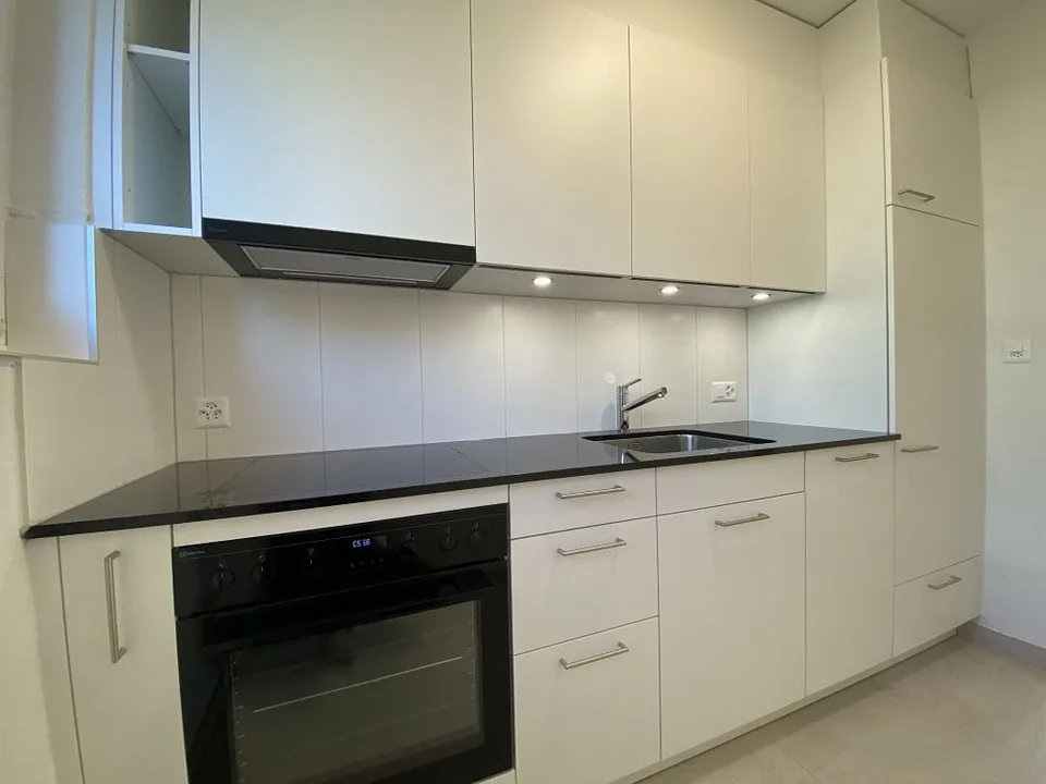 3 1/2-room apartment, ground floor right
