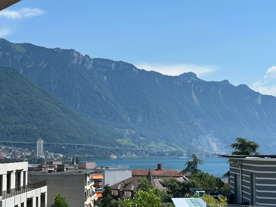 Appartement rénové de 3.5 pièces avec vue sur le lac, 6ème étage, env. 60 m2