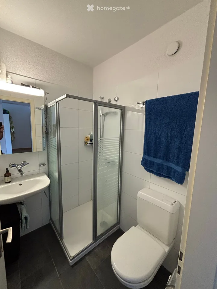 Bright 1.5-room apartment with rooftop terrace in Bruchquartier