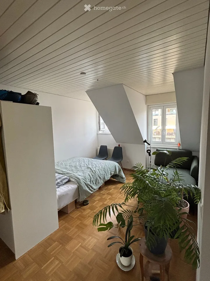 Helle 1.5 Wohnung mit Dachterasse im Bruchquartier