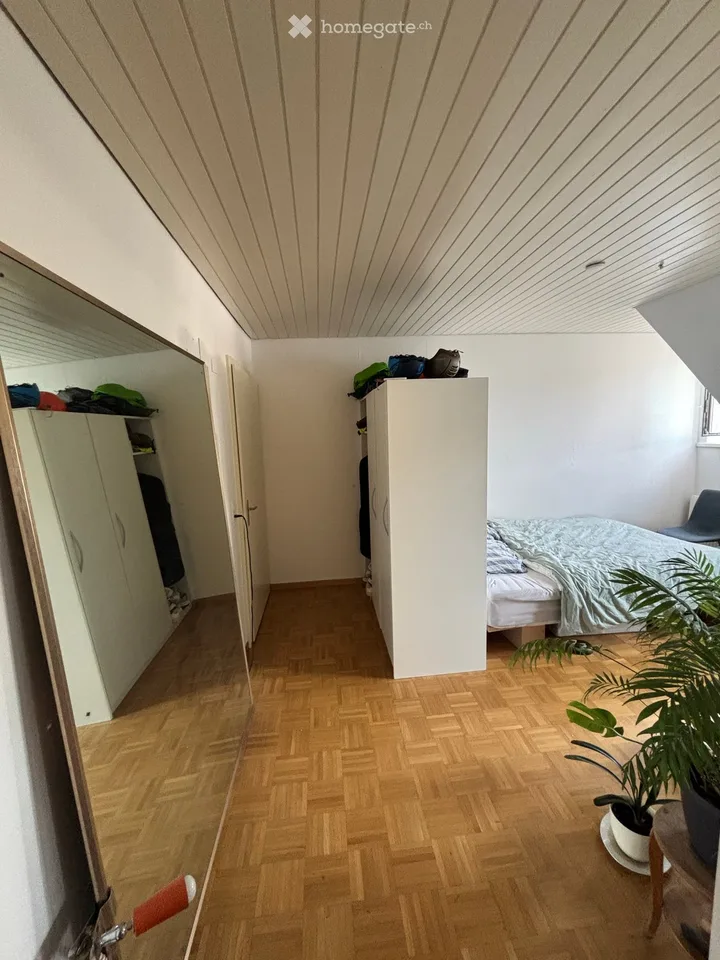 Bright 1.5-room apartment with rooftop terrace in Bruchquartier