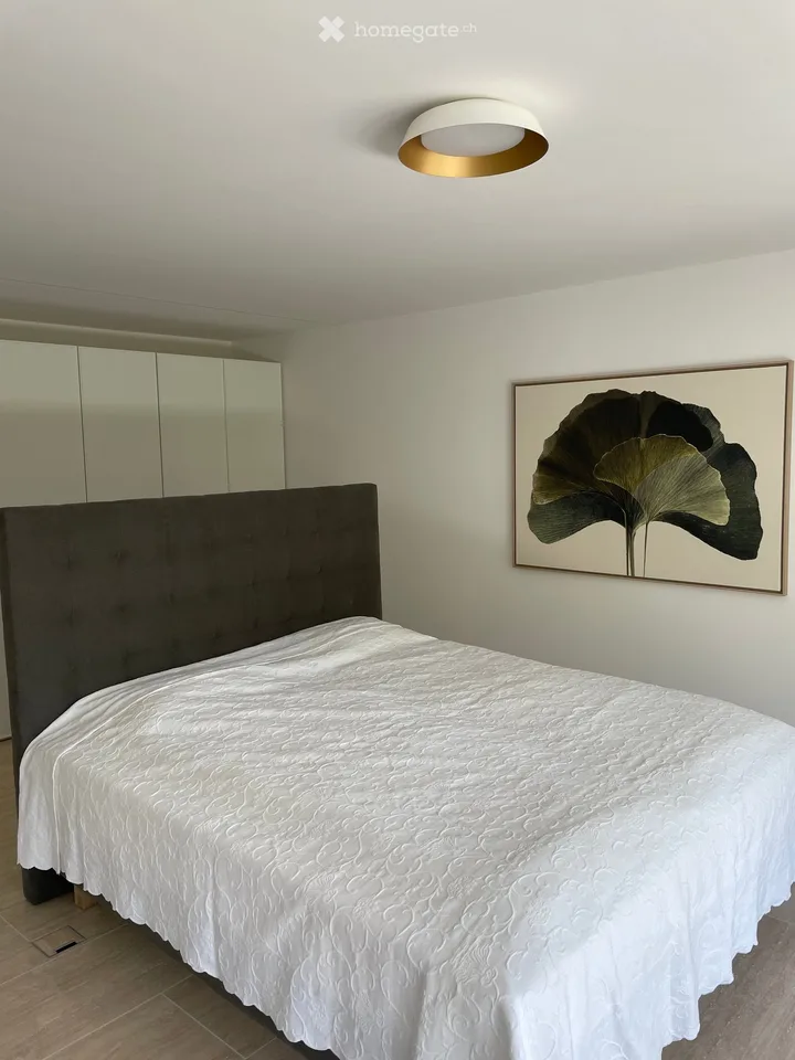 Furnished 4.5 room attic apartment in Locarno - until April 30, 2027