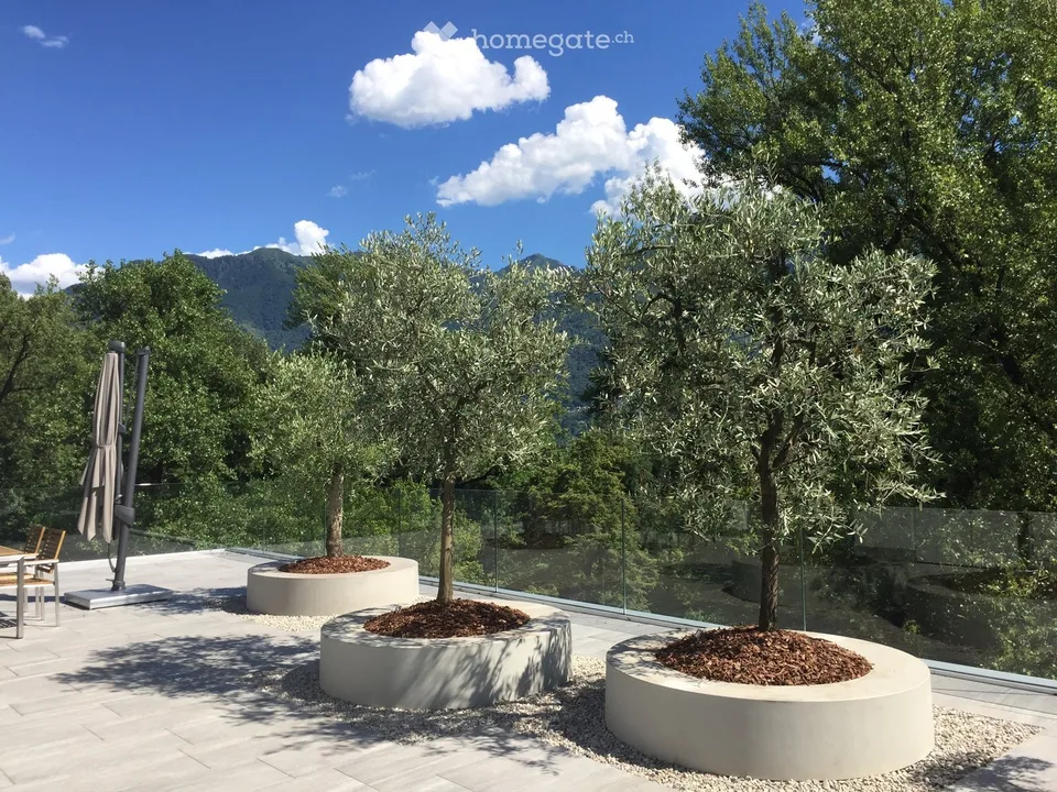 Furnished 4.5 room attic apartment in Locarno - until April 30, 2027