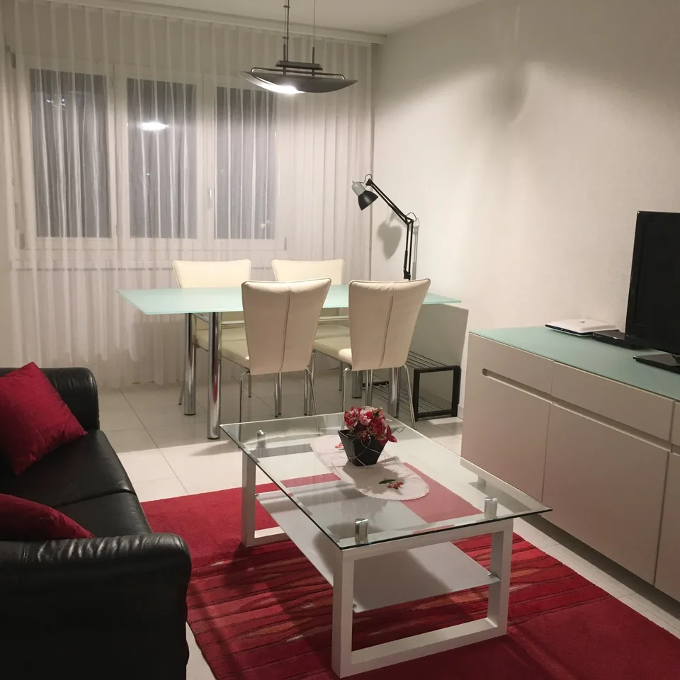 Furnished 2.5-room apartment - balcony, private laundry room, elevator - in Buchs Zürich