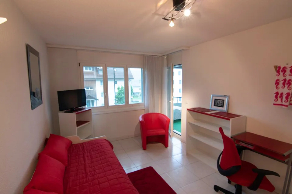 Furnished 2.5-room apartment - balcony, private laundry room, elevator - in Buchs Zürich