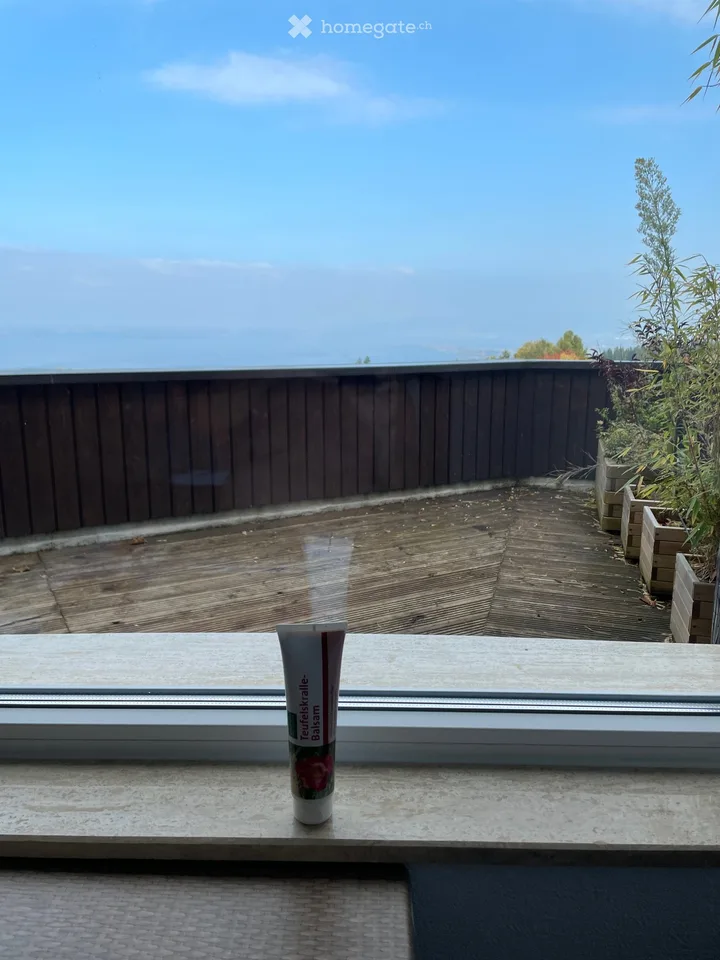 Cerca subaffittuario per monolocale con vista sul Lago di Costanza / ampio balcone, disponibile immediatamente