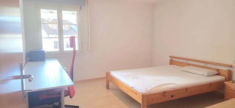 Gepflegte 5.5-Zimmer-Wohnung mit Balkon und schöner Aussicht in Zurzach-Böbikon