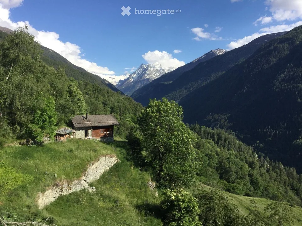 Chalet à louer en pleine nature