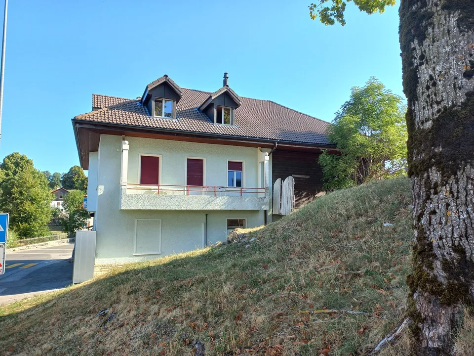A vendre:  Maison avec magasin et deux appartements