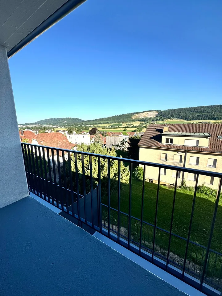 Beaux appartements en attique de 2,5 pièces à Wangen bei Olten