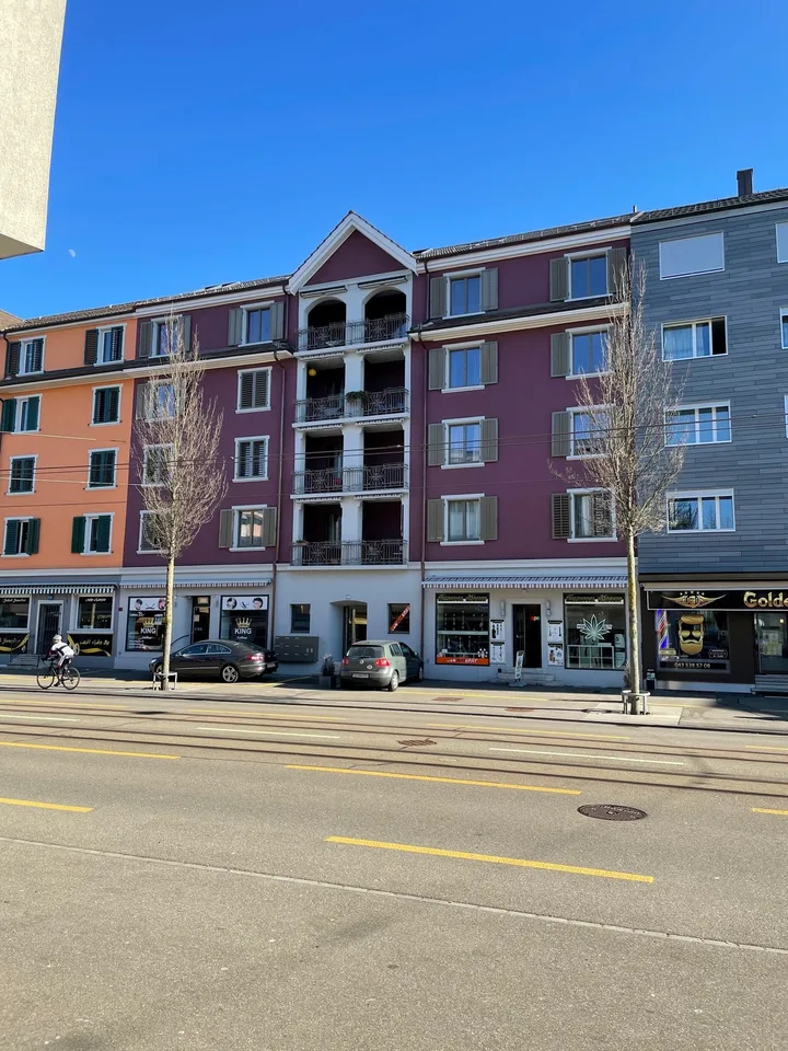 4.5-Zimmer-Dachwohnung in Zürich-Seebach zu vermieten!