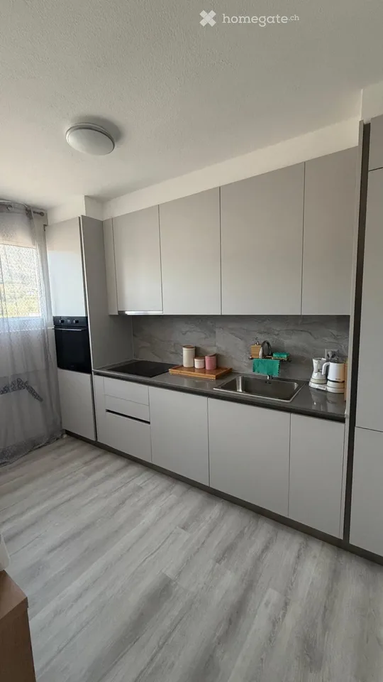 I'm looking for a sublessee for a penthouse apartment