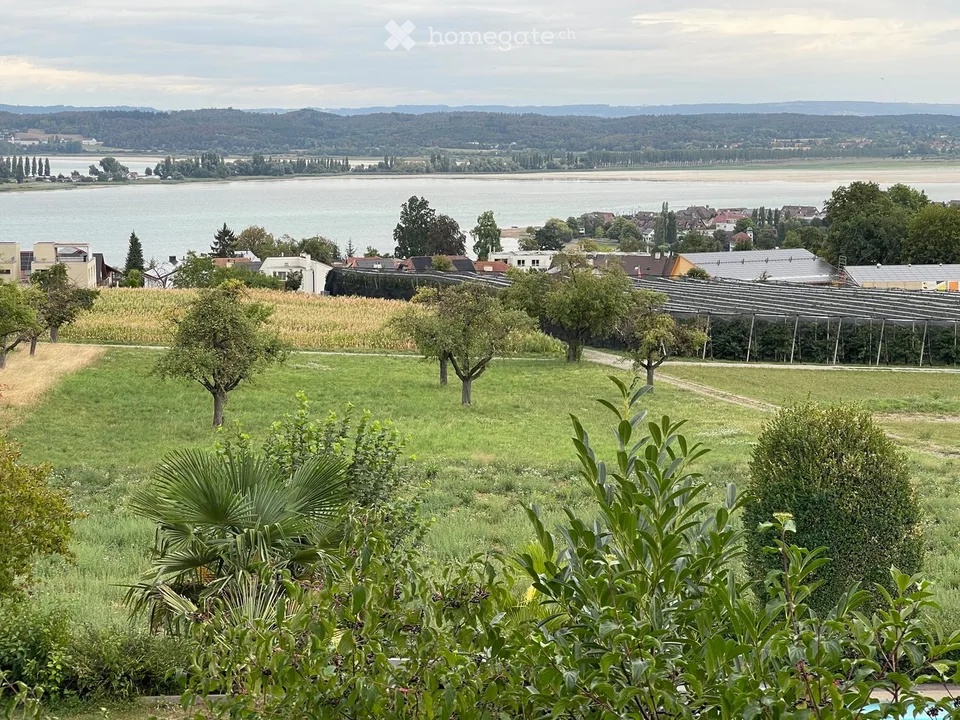 Appartamento tranquillo di 1,5 locali con una vista lago da sogno